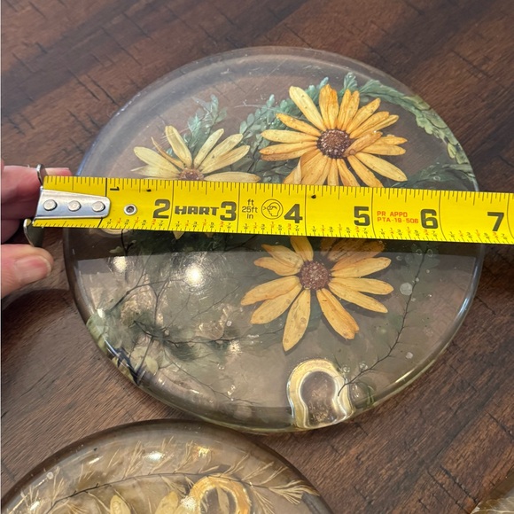 Vintage 50s lucite pressed flower coasters trivet set European antique home - Picture 7 of 14